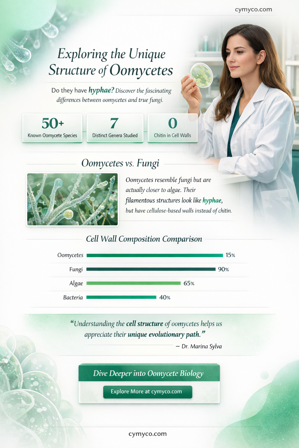 do oomycetes have hyphae