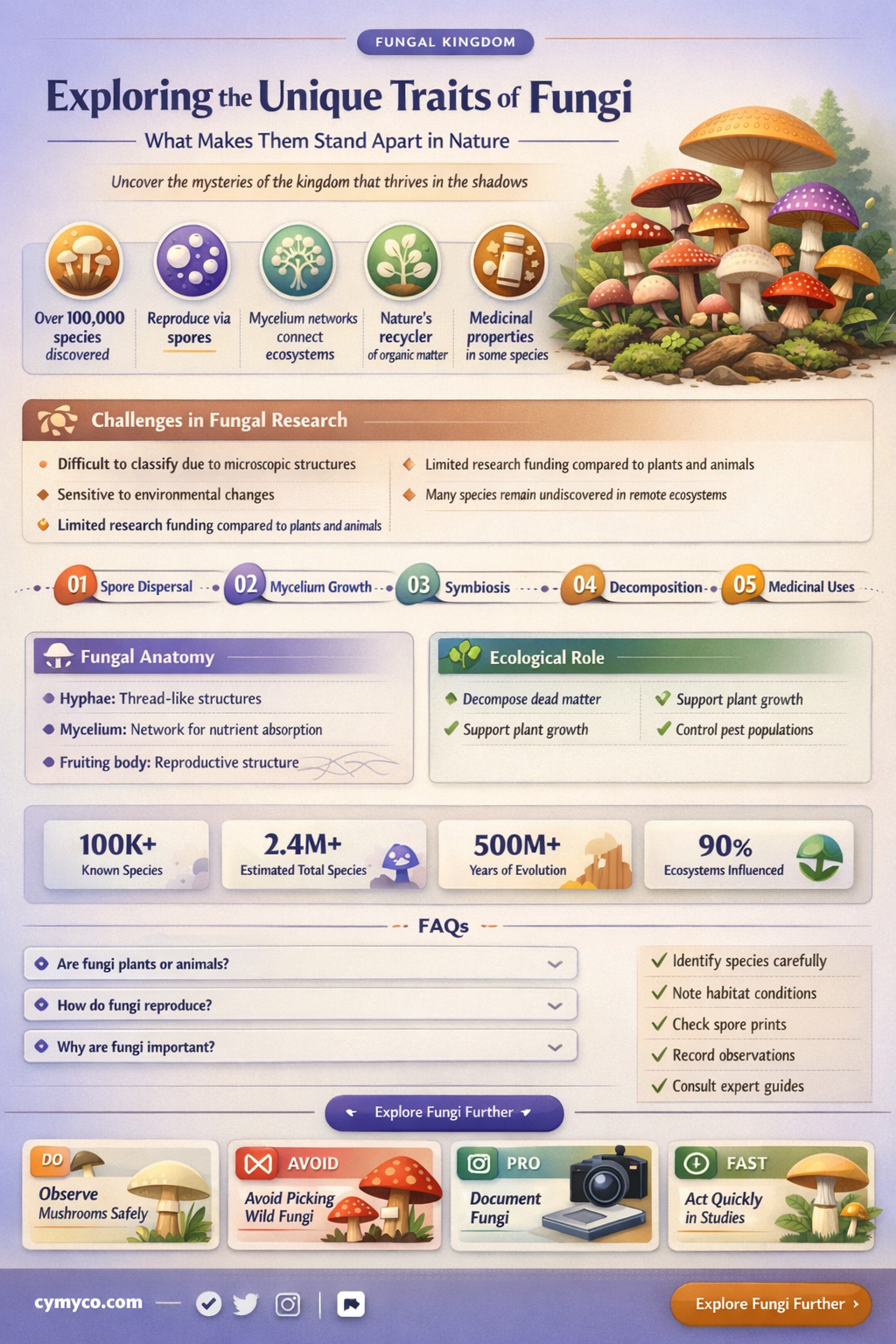 which of the following is not a characteristic of fungi