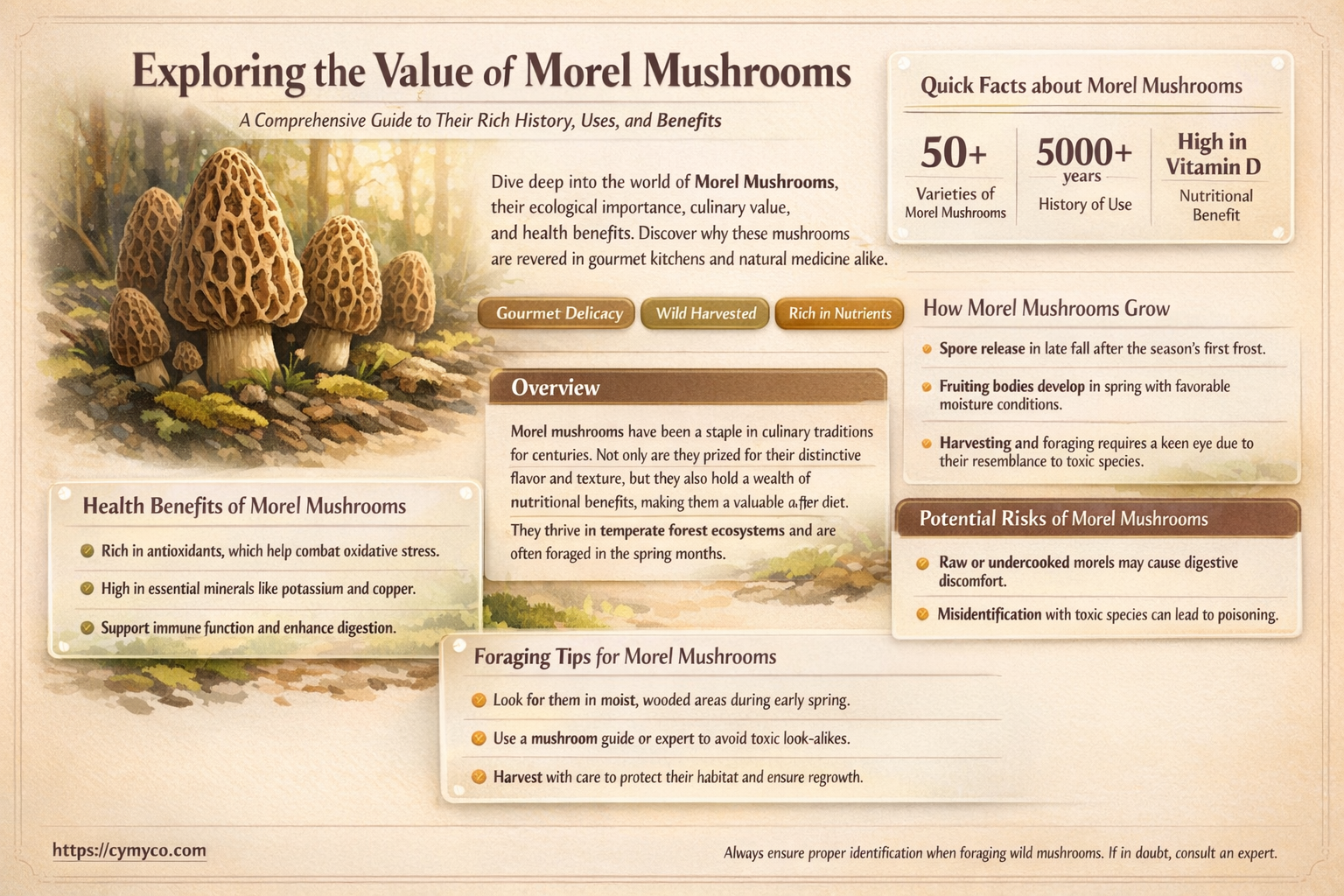 how much is morels mushrooms