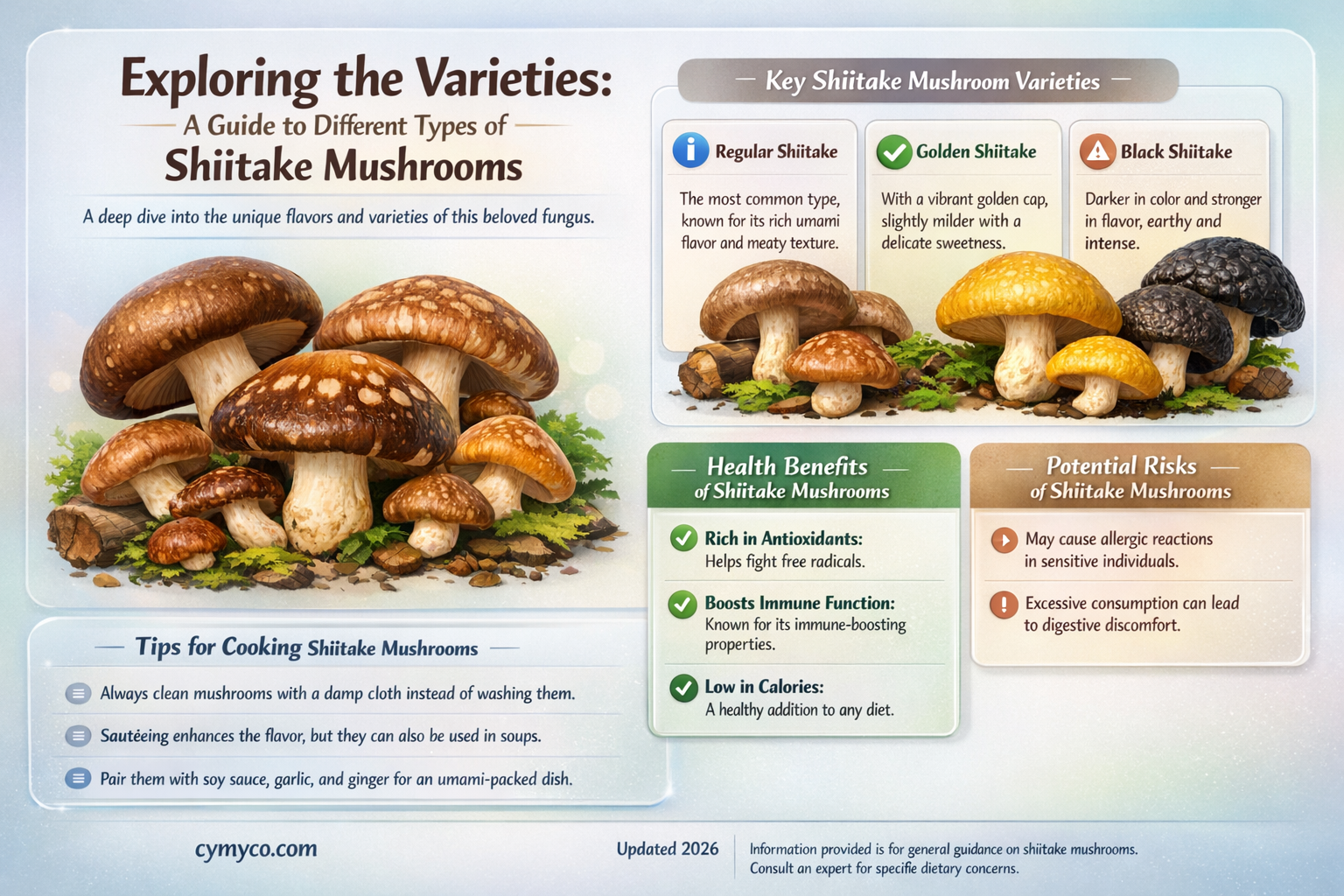 are there different types of shiitake mushrooms