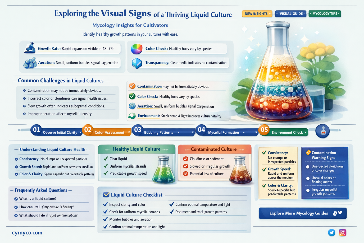 what does healthy liquid culture look like mycology