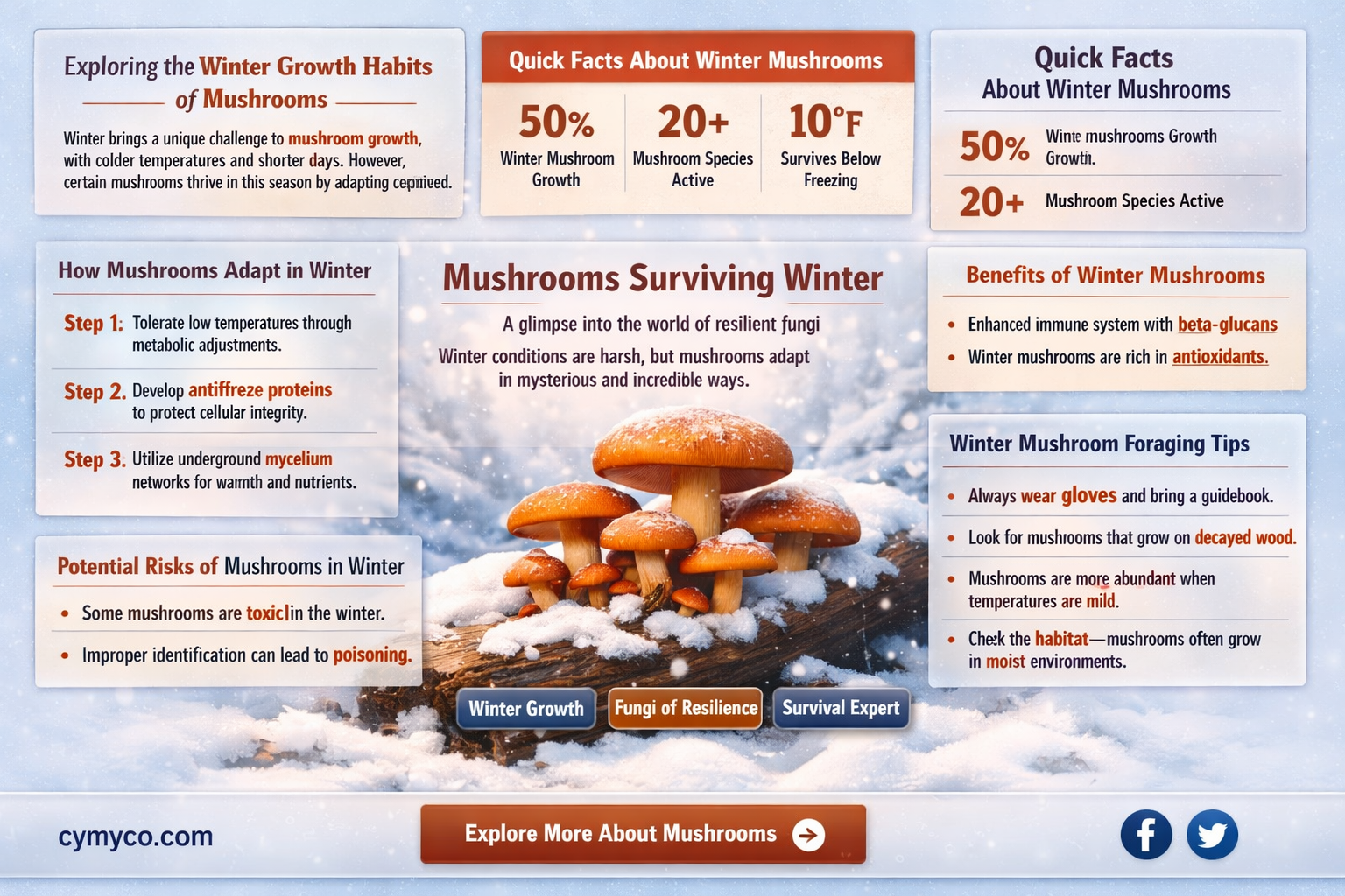 do mushrooms grow in winter