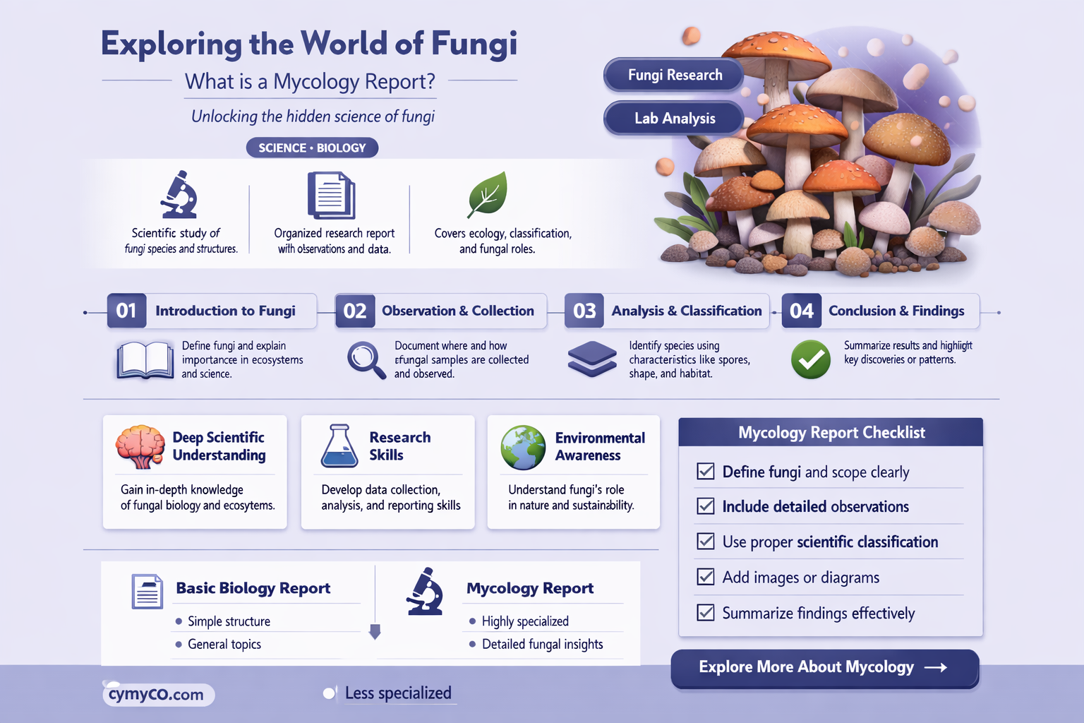 what is a mycology report