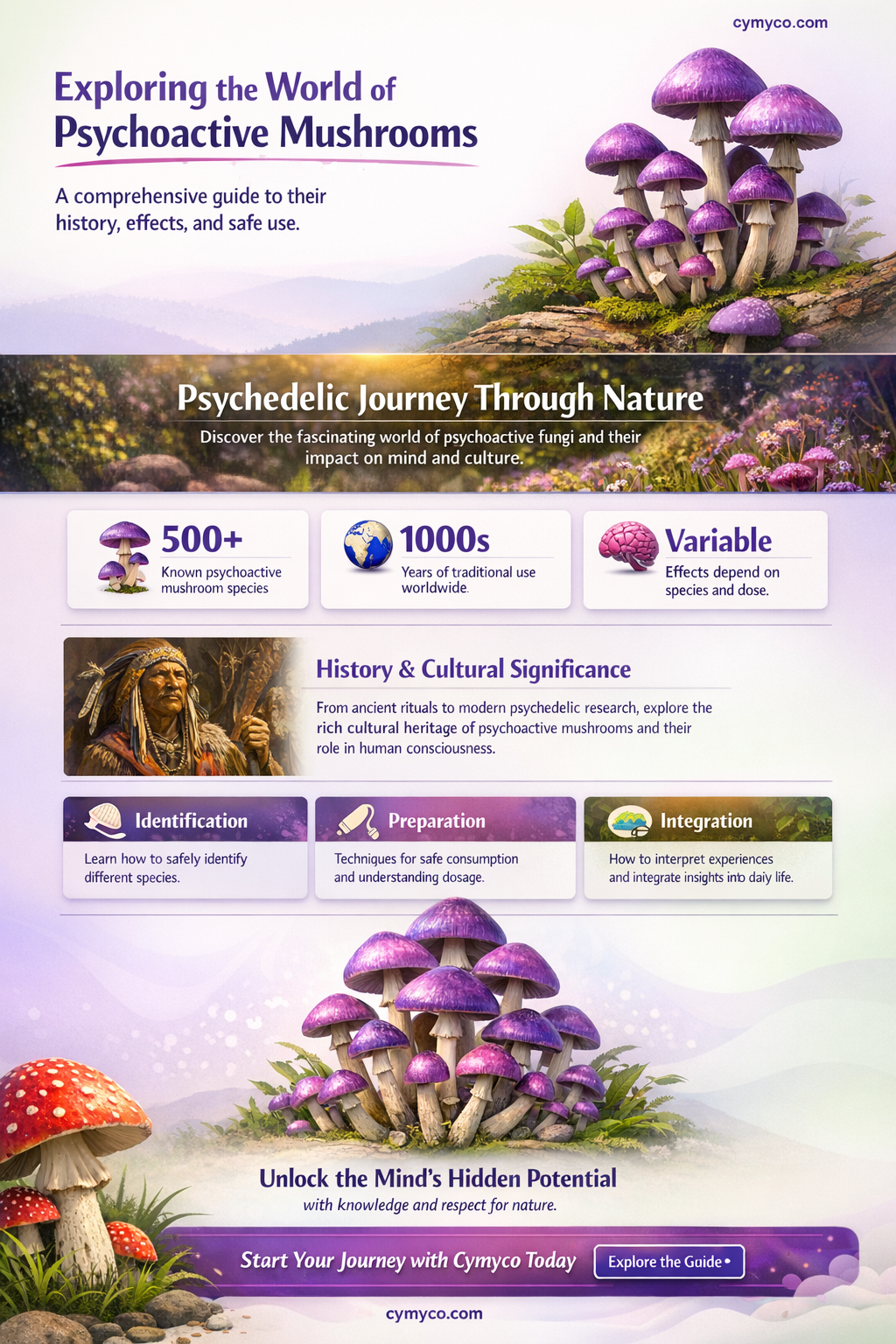 what are mushrooms that get you high