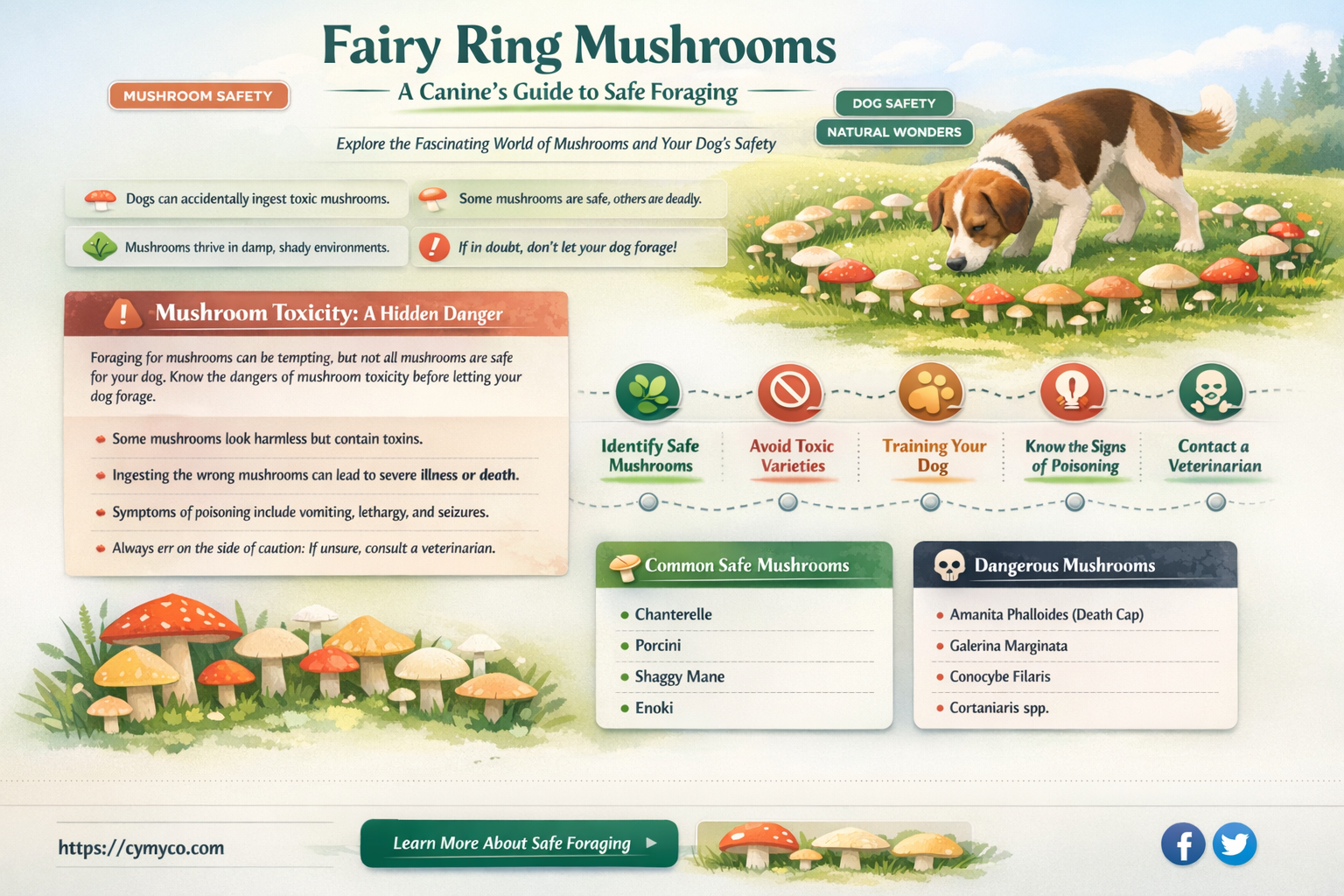 are fairy ring mushrooms bad for dogs