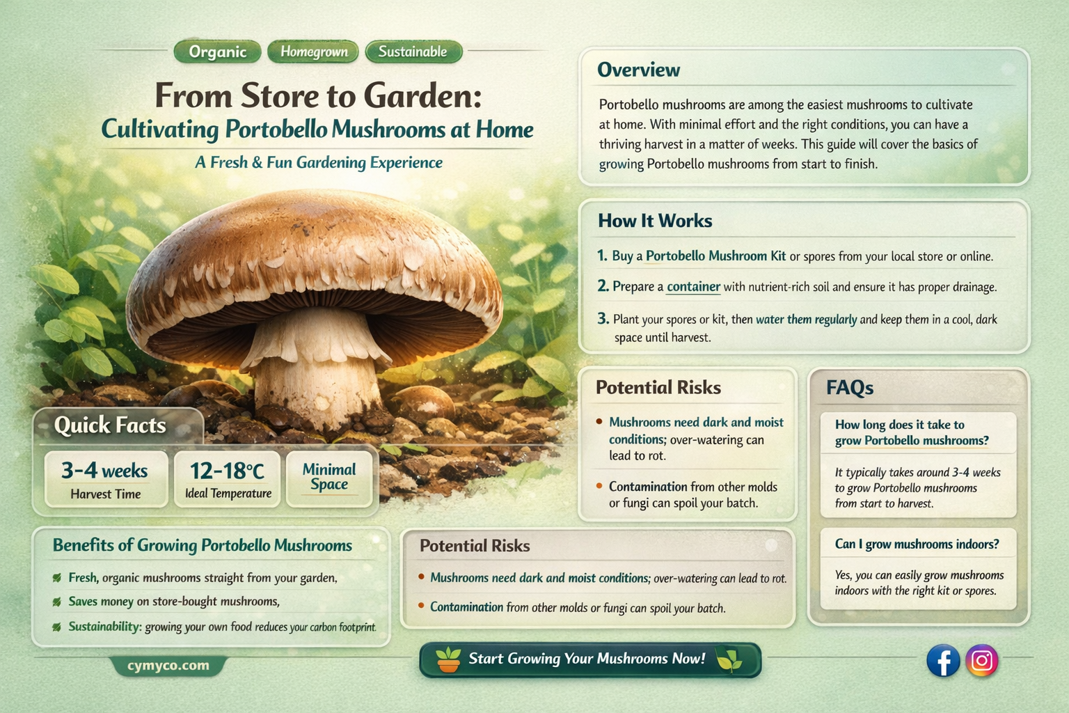 how to grow portobello mushrooms from store bought