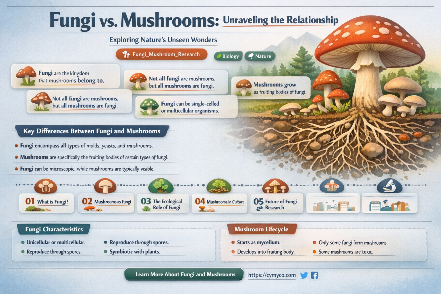 is fungi a mushroom