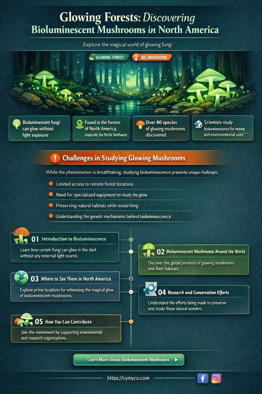 where to find bioluminescent mushrooms in north america