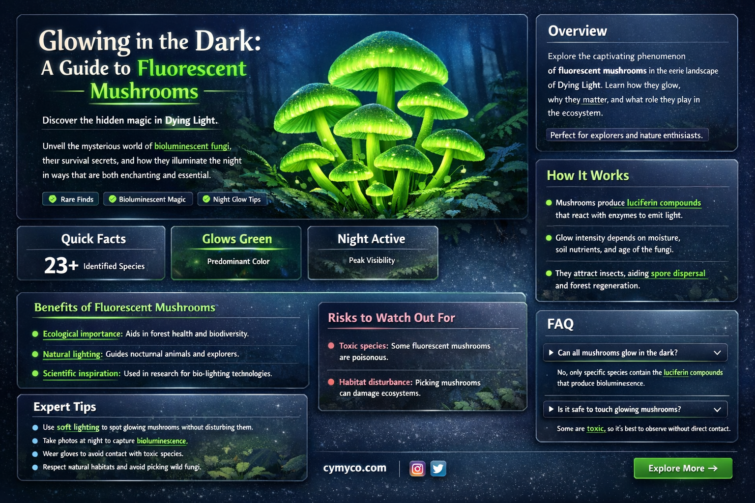 where to find fluorescent mushrooms dying light