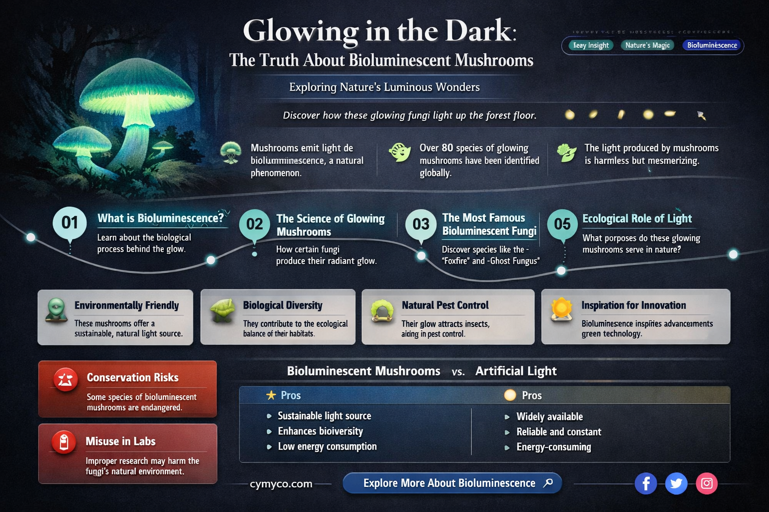 are bioluminescent mushrooms poisonous