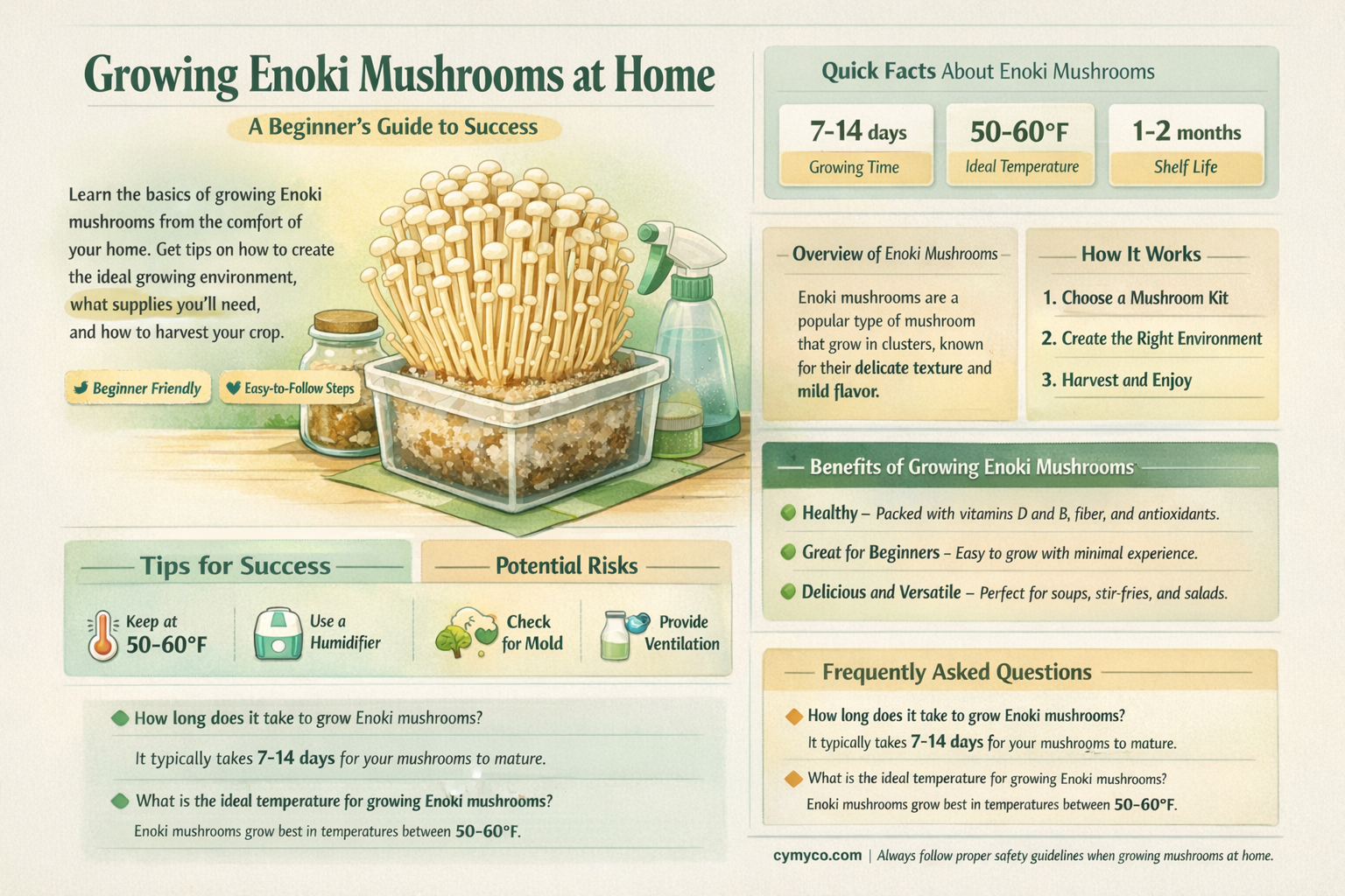 can you grow enoki mushrooms at home