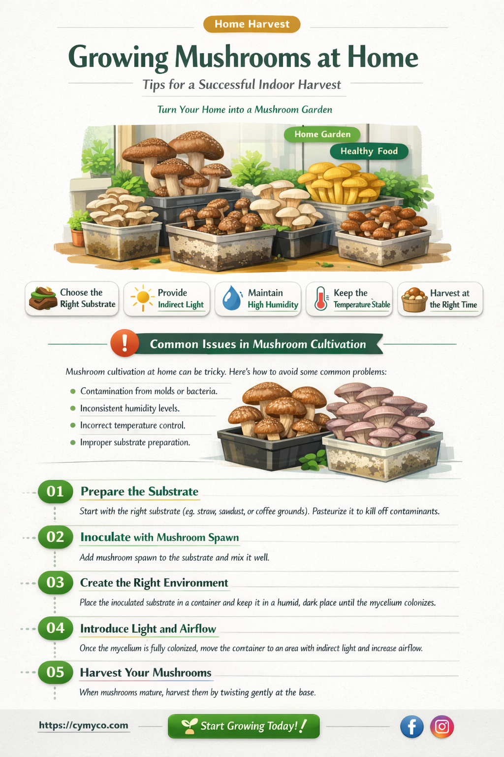 can mushrooms grow in home