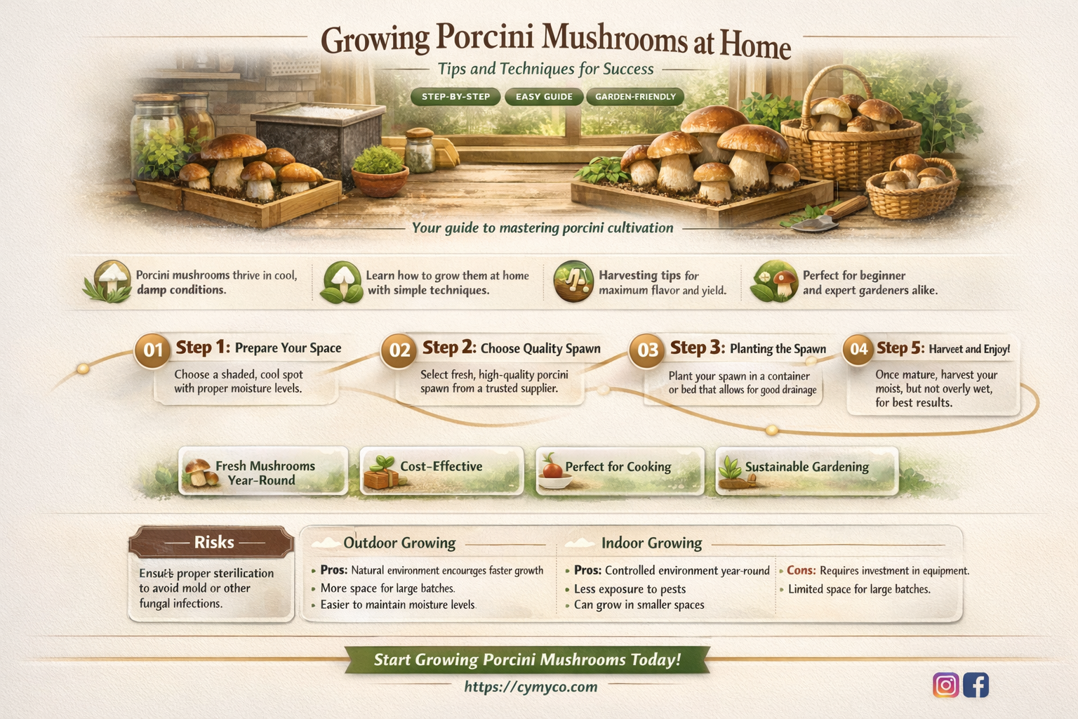 can you grow porcini mushrooms at home