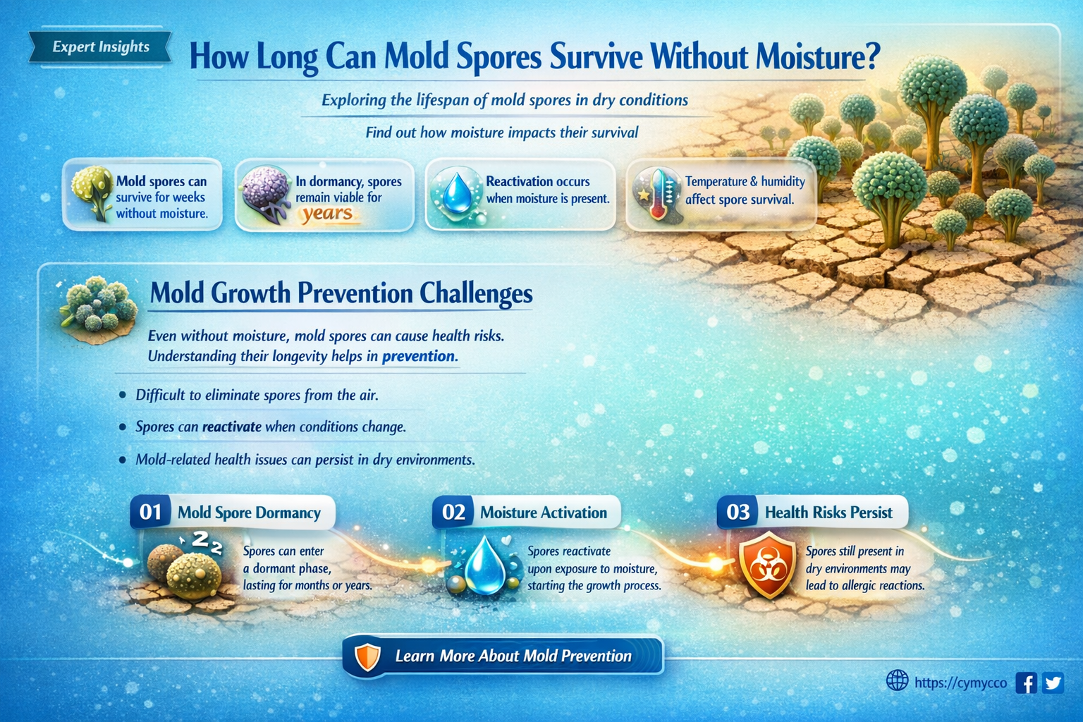 how long do mold spores live without moisture