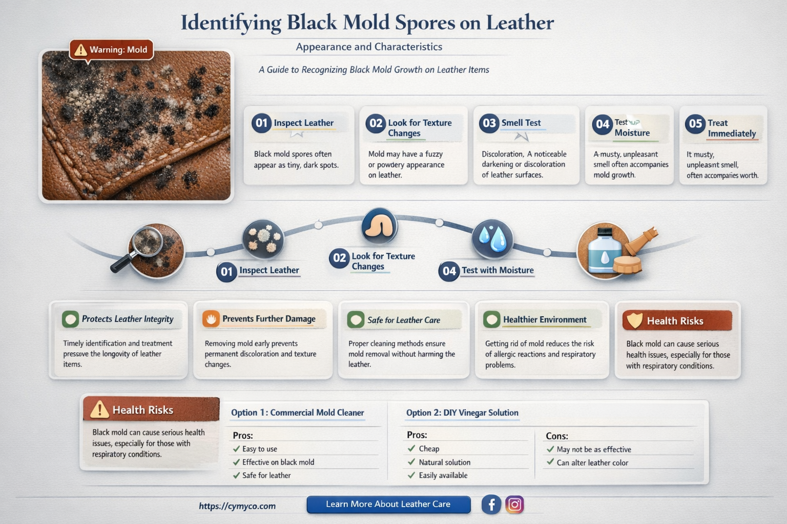 what does a black mold spore on leather look like