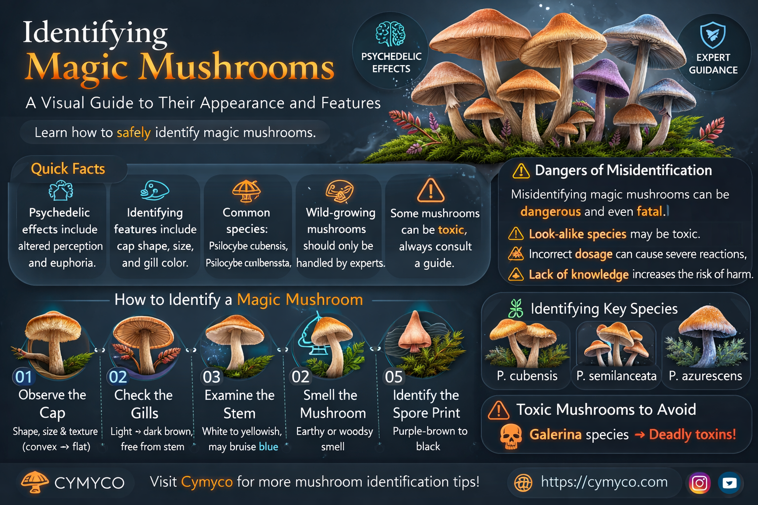 what to magic mushrooms look like