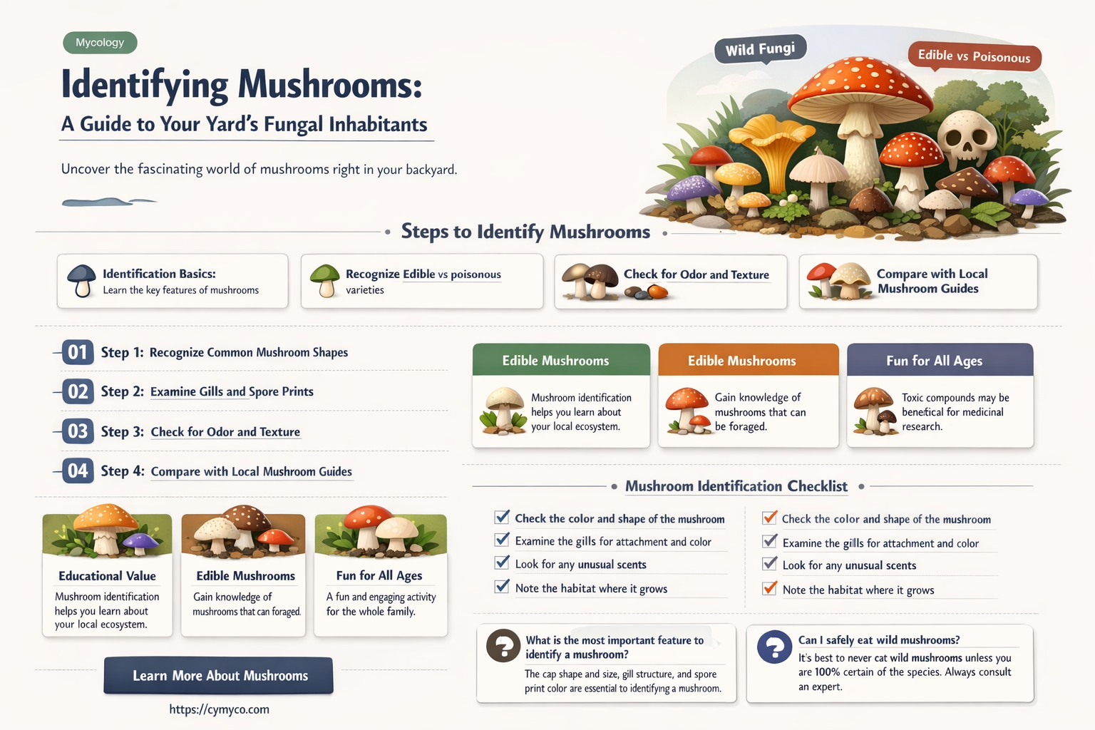 what mushroom is growing in my yard