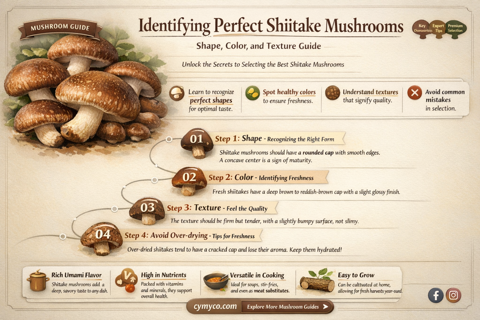 what should shiitake mushrooms look like
