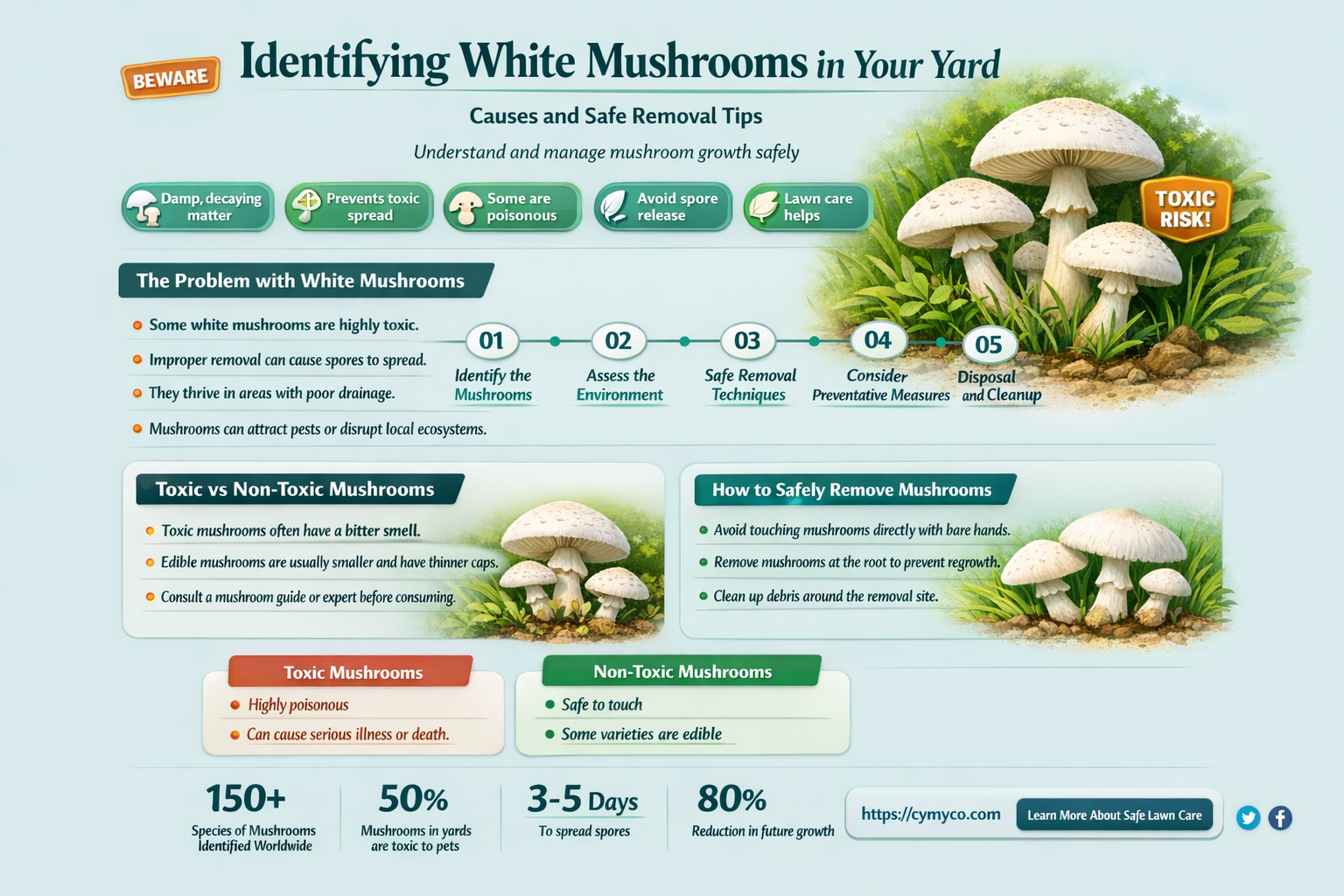 what are the white mushrooms growing in my yard