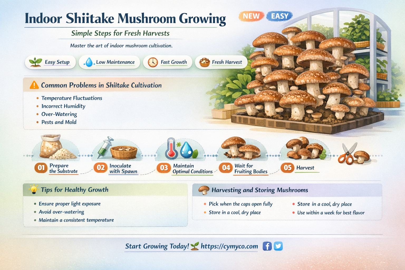 how to grow shiitake mushrooms indoors