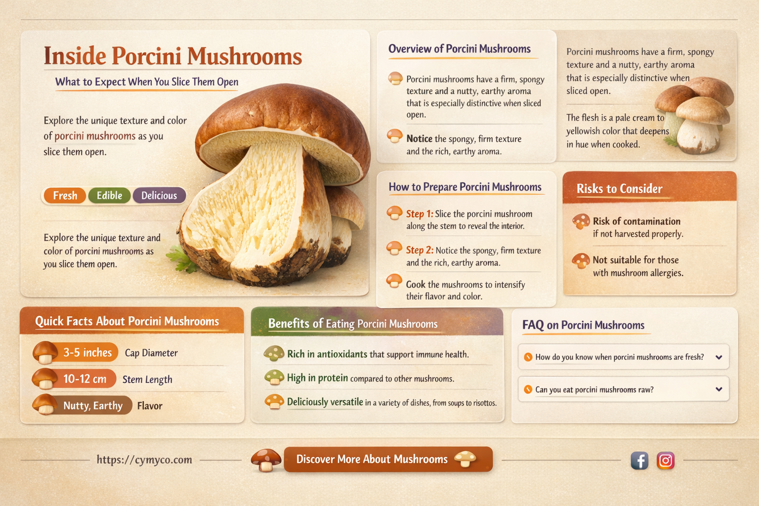 what should the inside of porcini mushrooms look like