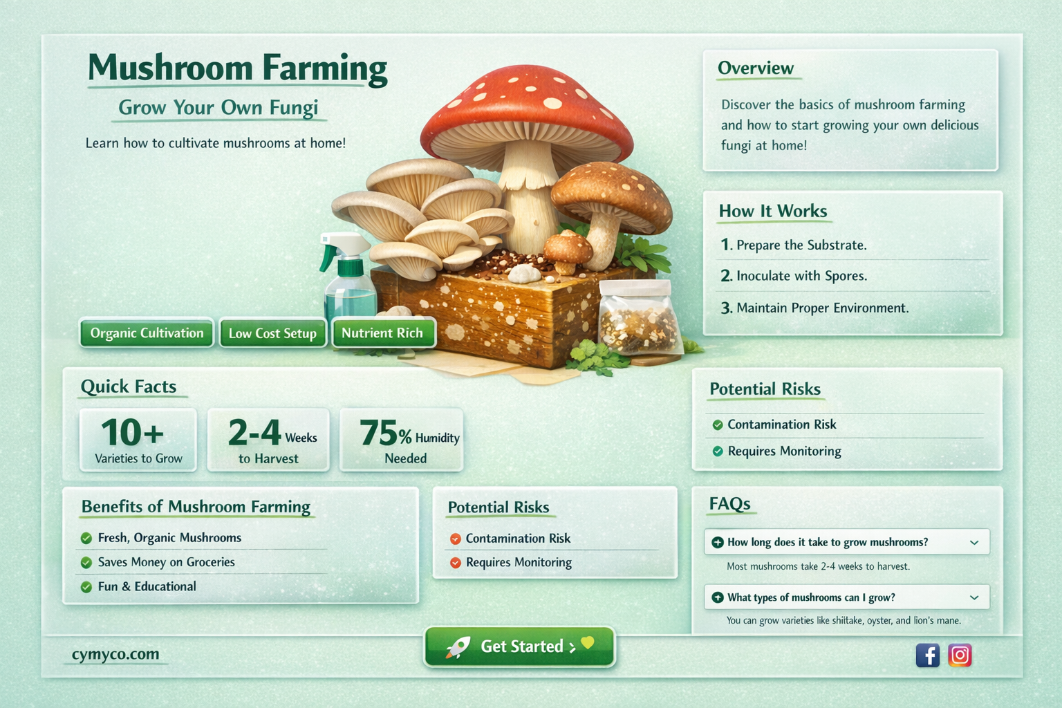 is cream of mushroom soup gf