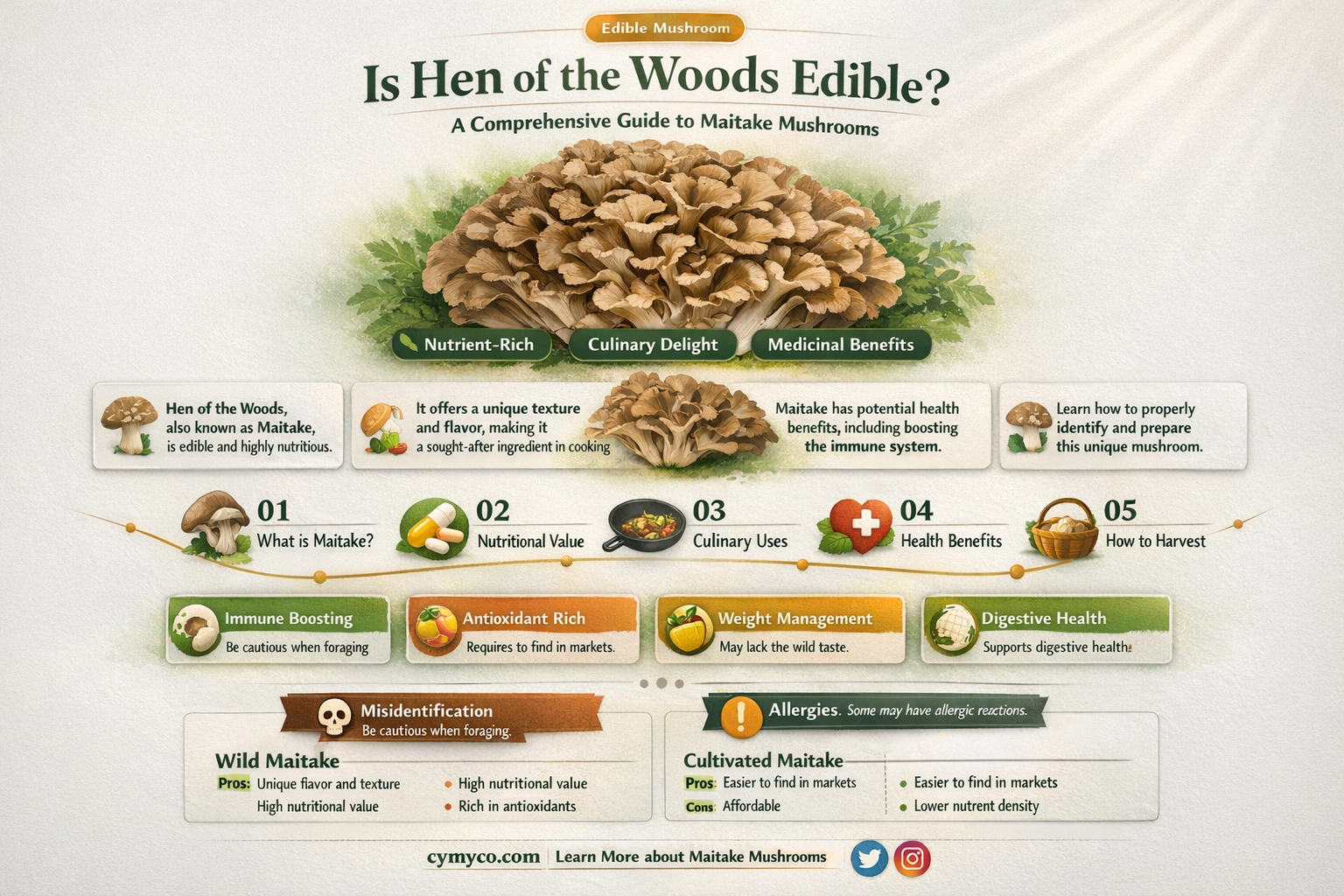 is hen of the woods edible