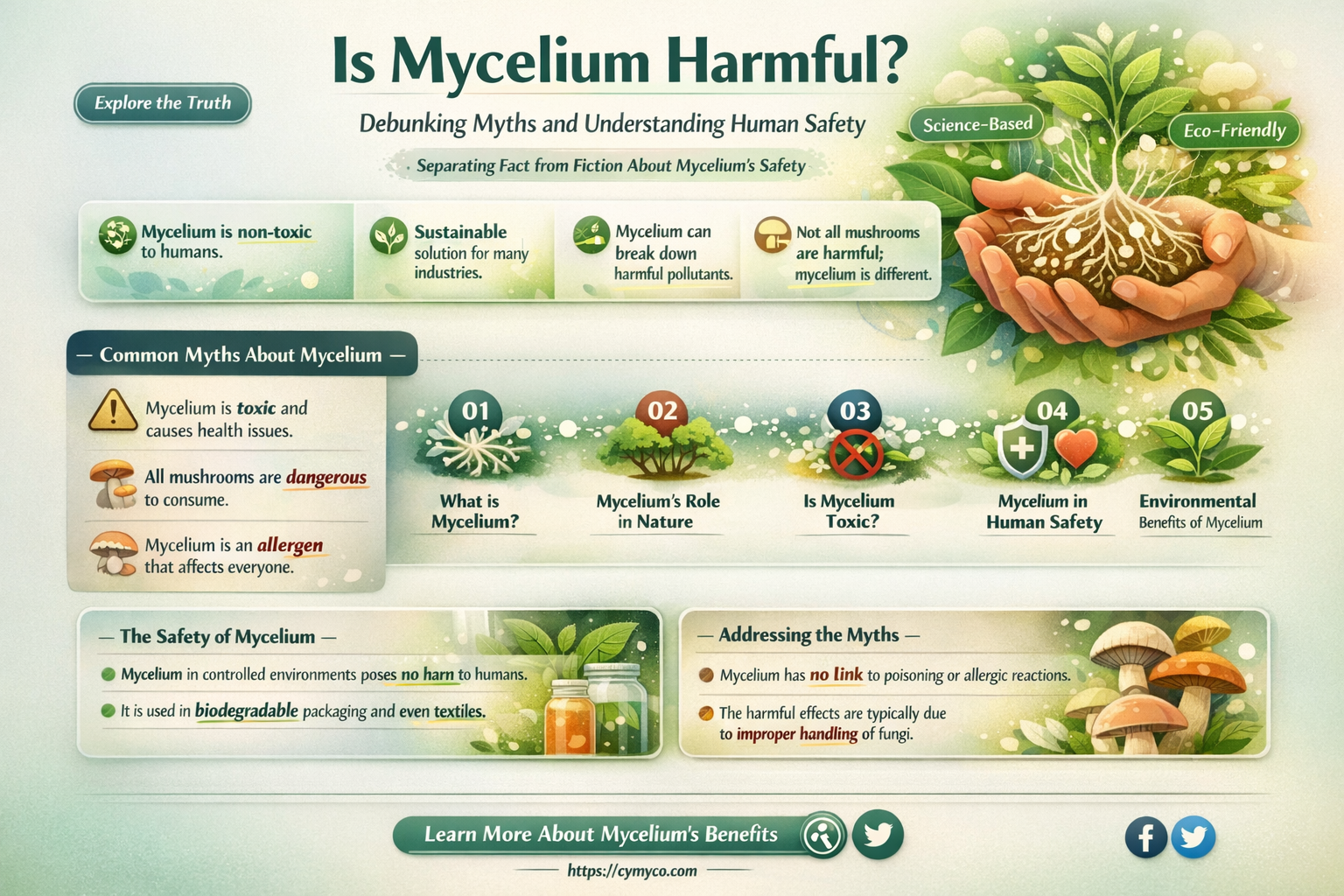 is mycelium harmful to humans