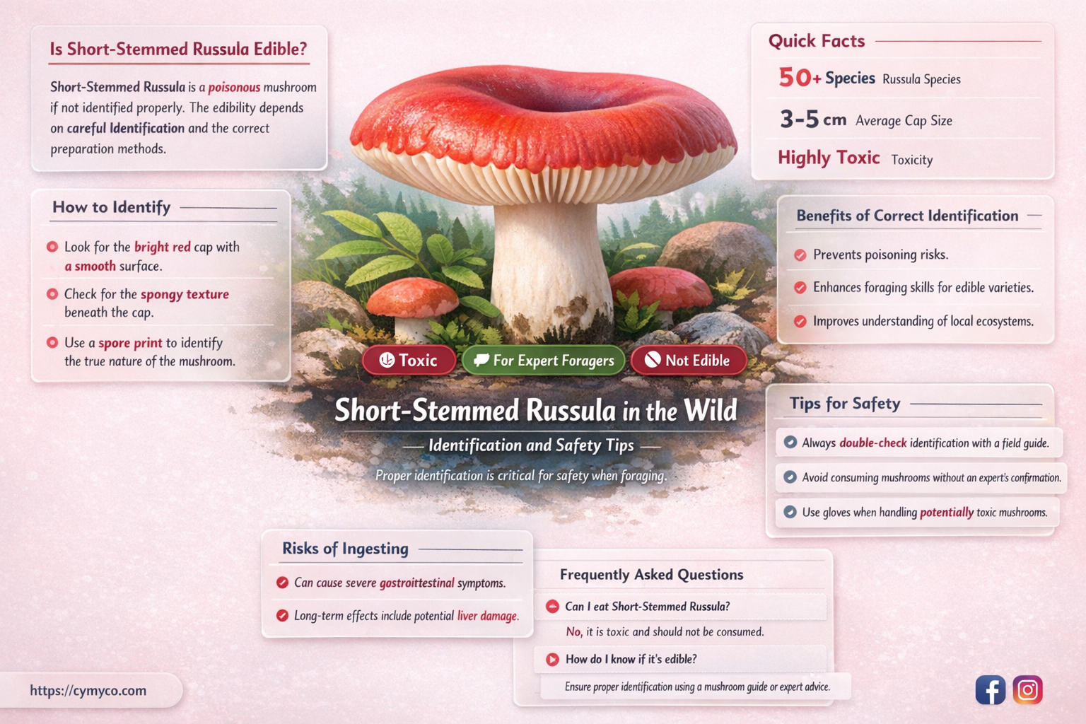 is short-stemmed russula edible