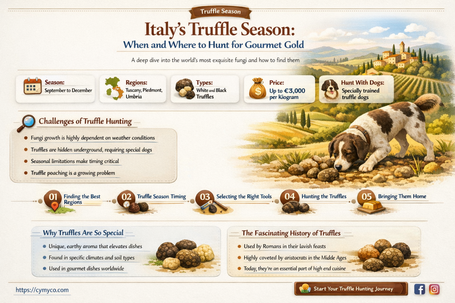 when is truffle season in italy
