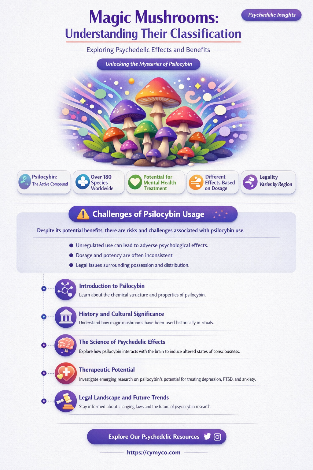 what type of drug are magic mushrooms