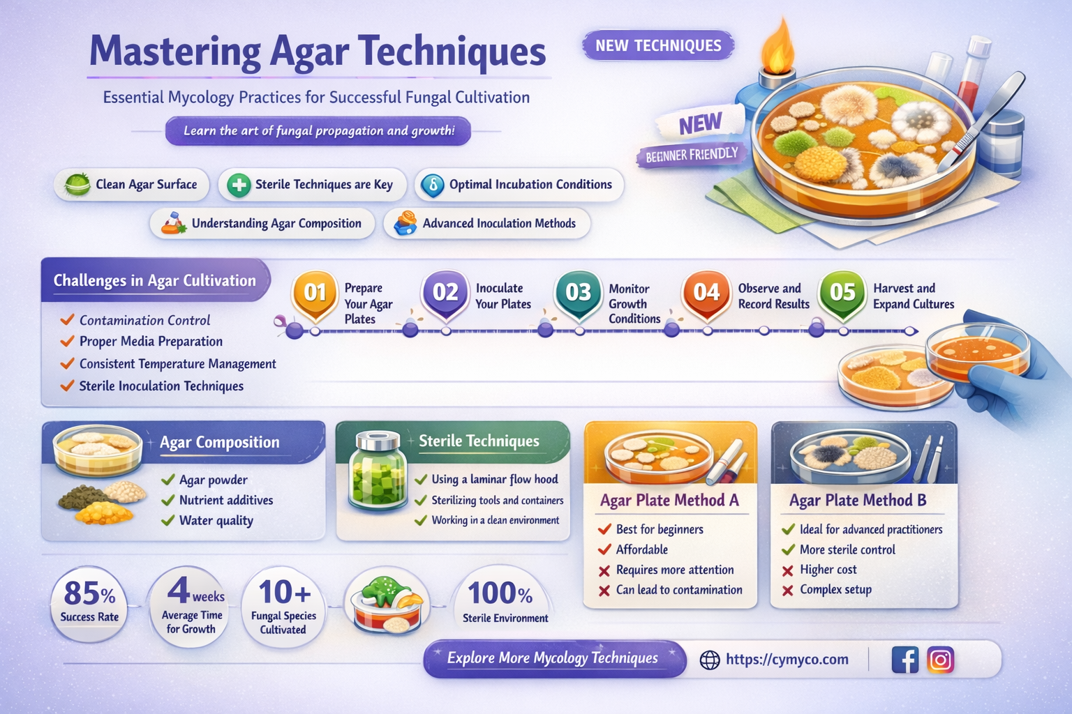 how properly work with agar for mycology