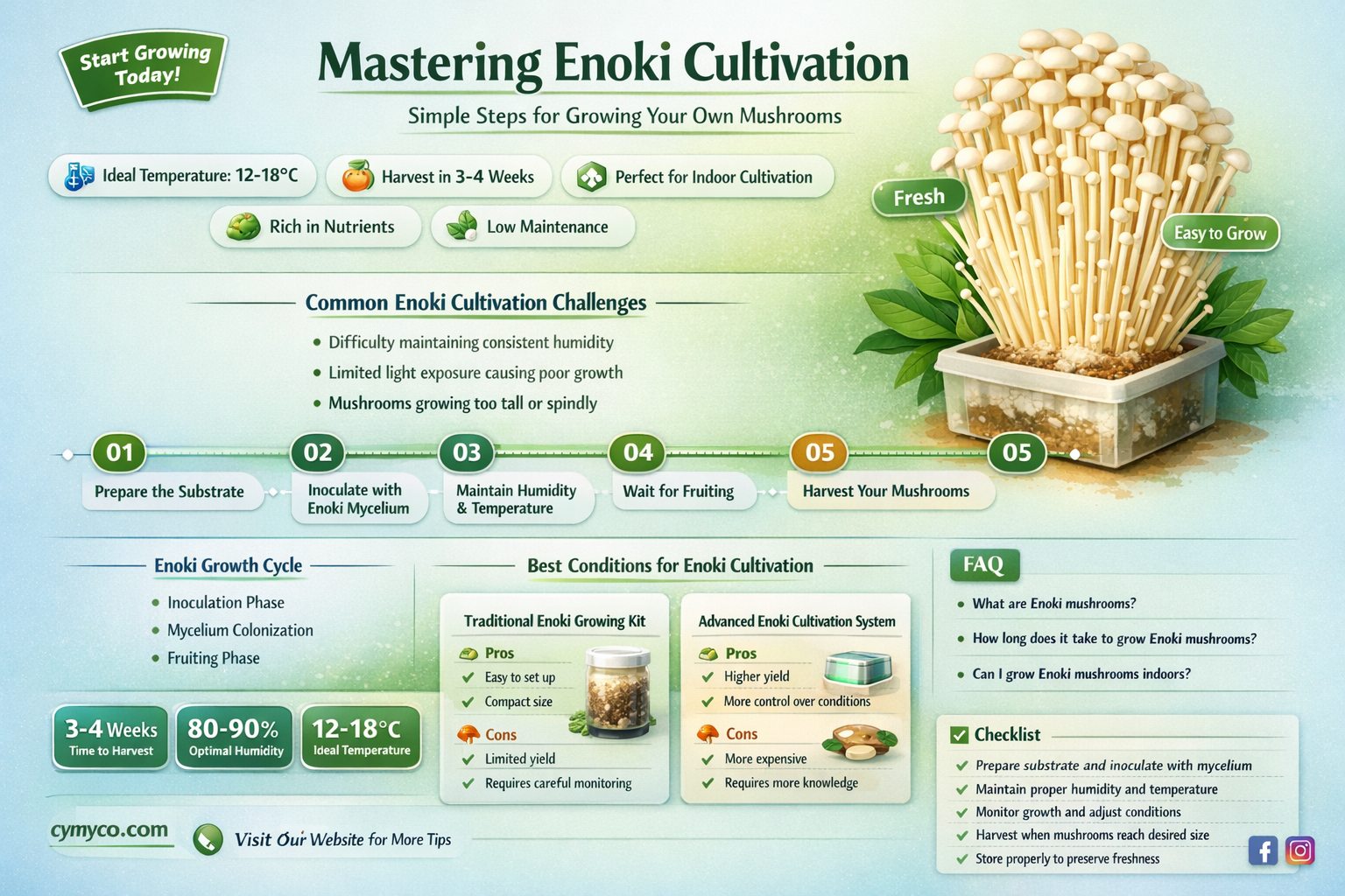 how to grow enoki