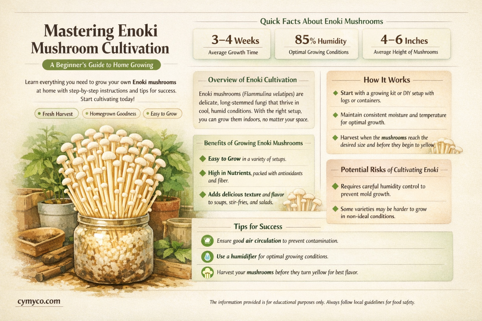 how to grow enoki mushrooms at home