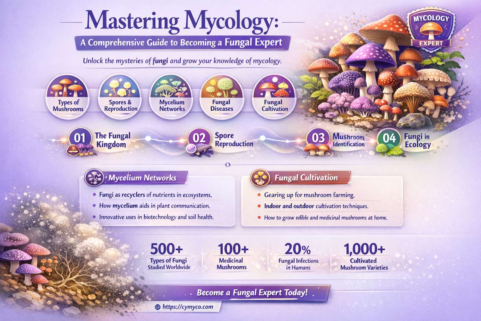 how to become a mycologist
