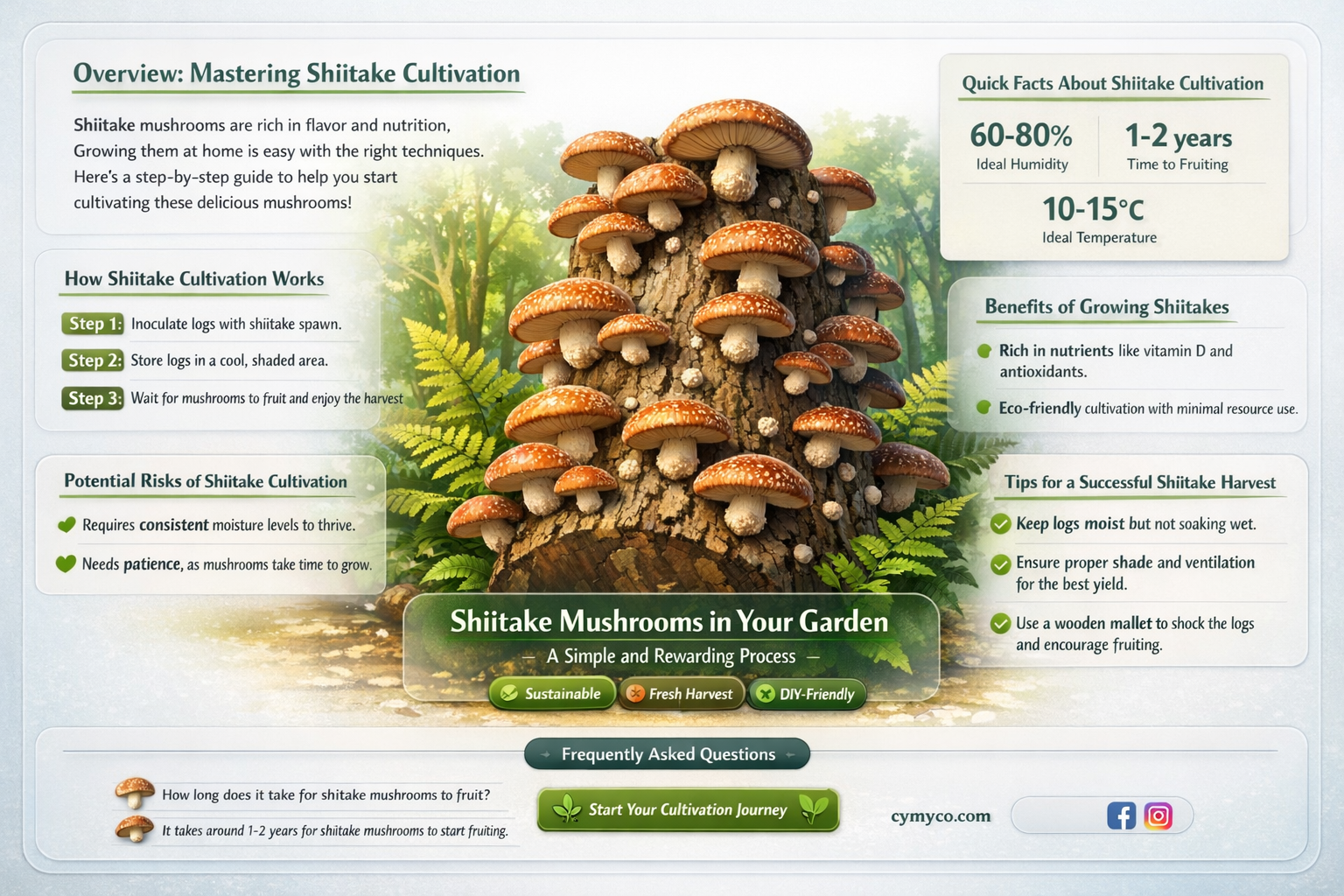 how to grow shiitake