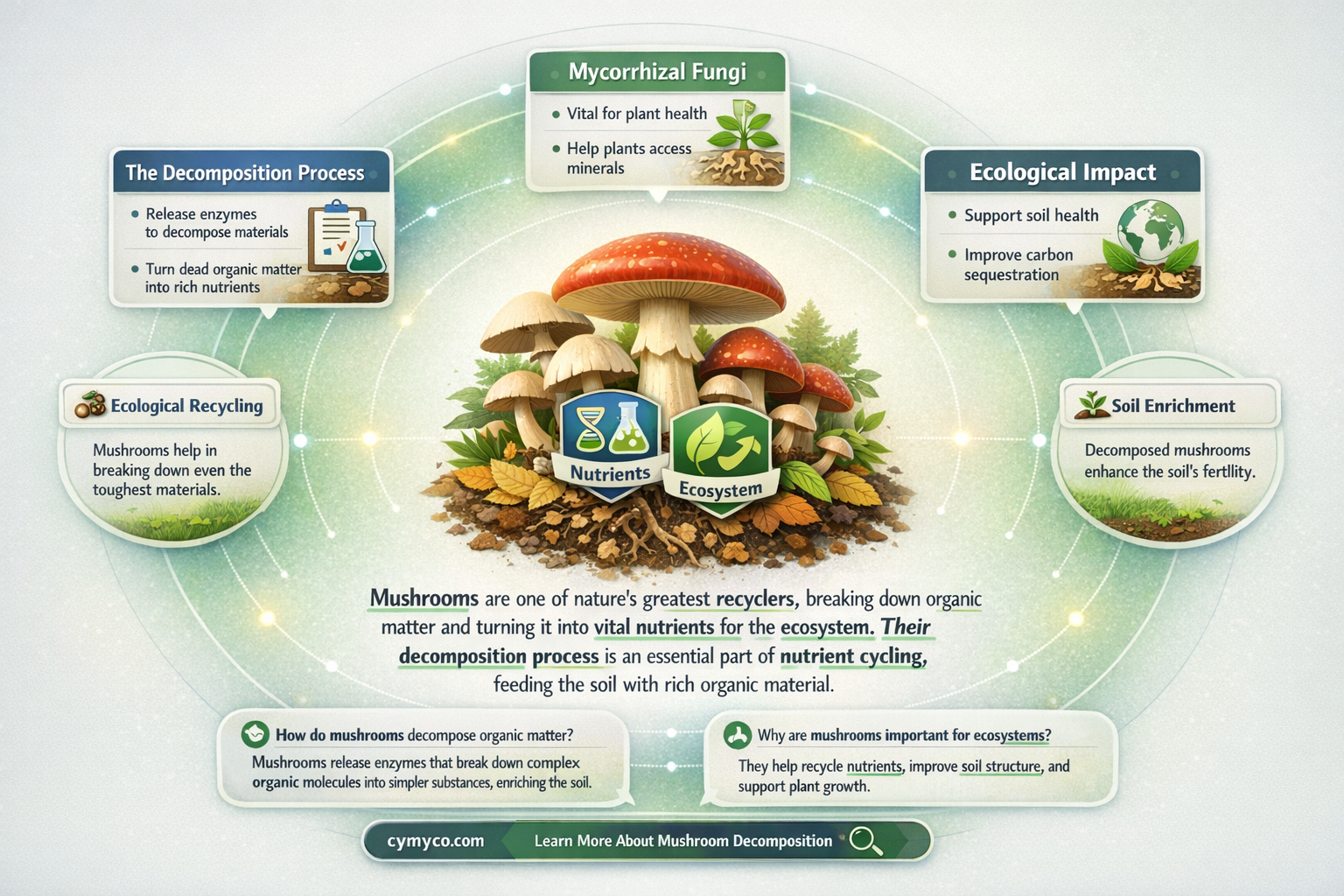 what do mushrooms decompose