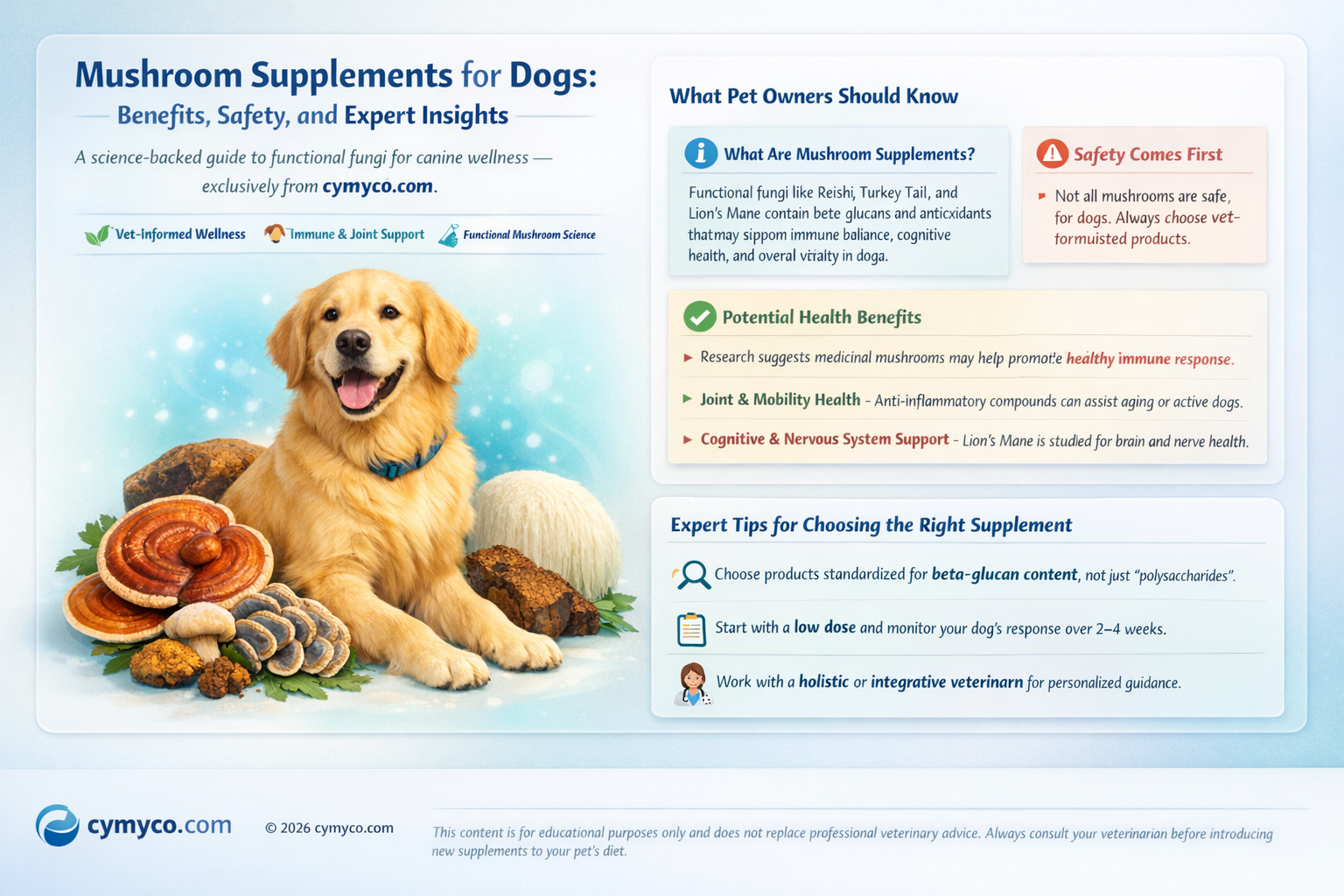 are mushroom supplements good for dogs