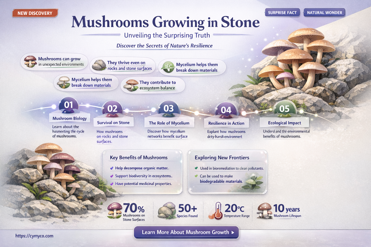 can mushrooms grow in stone