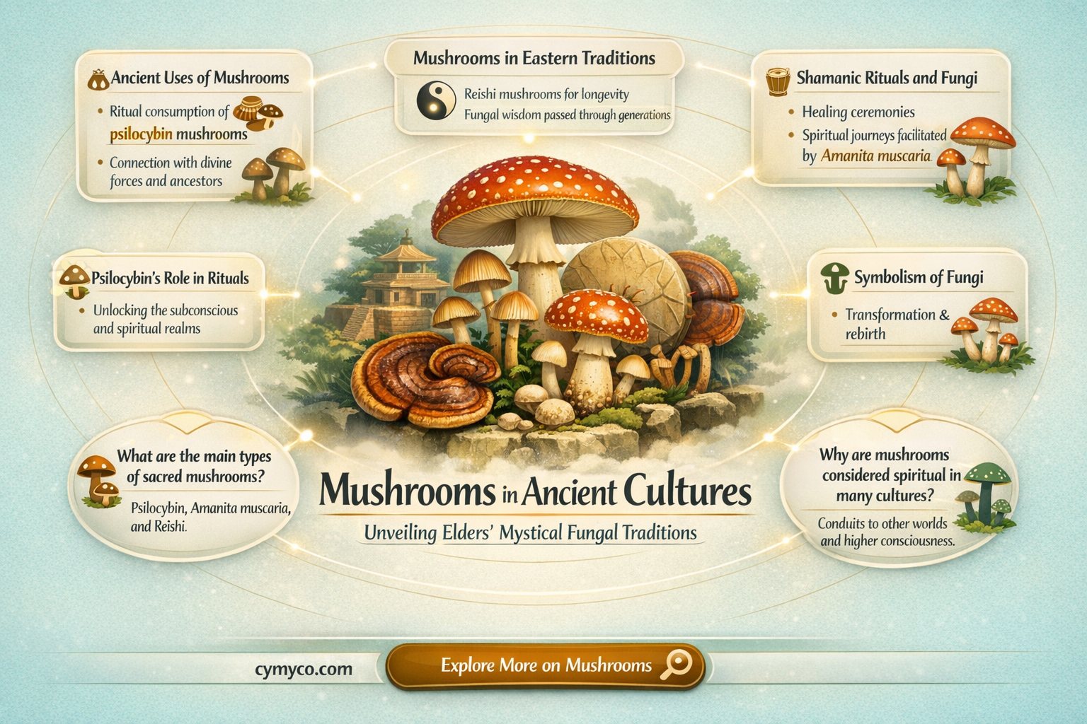 did the elders use mushrooms in ancient cultures