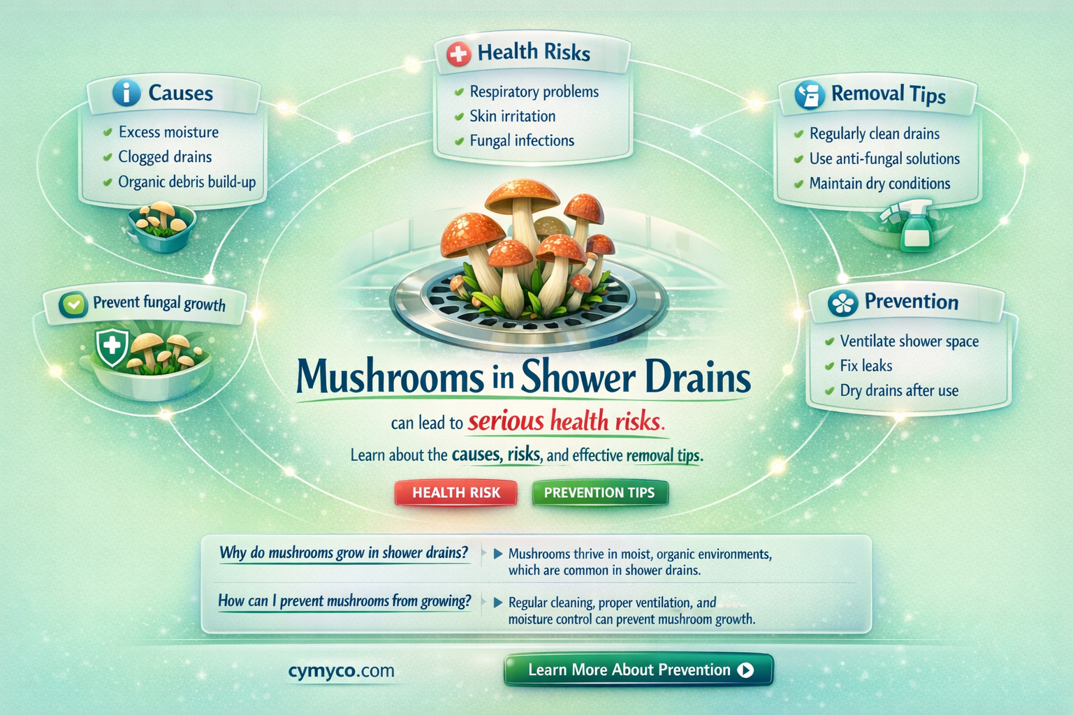 can mushrooms grow in shower drains