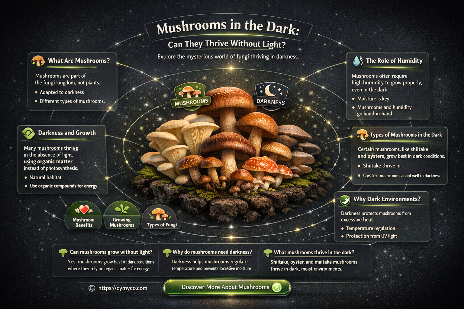 can mushrooms grow in complete darkness