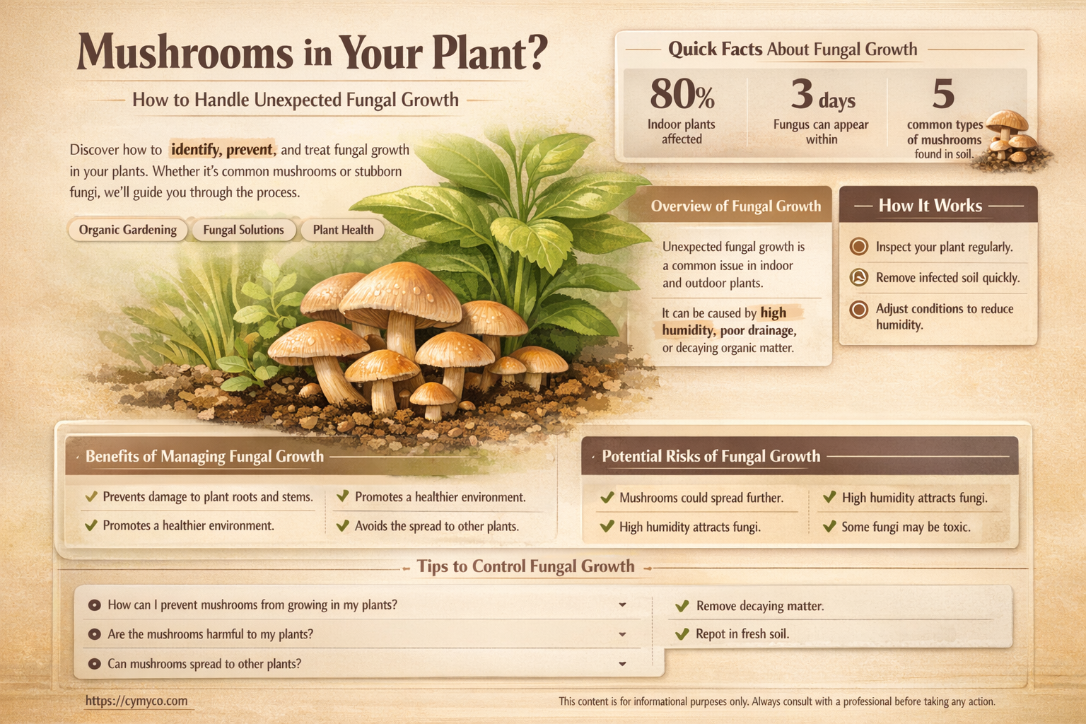 what to do if mushrooms grow in your plant