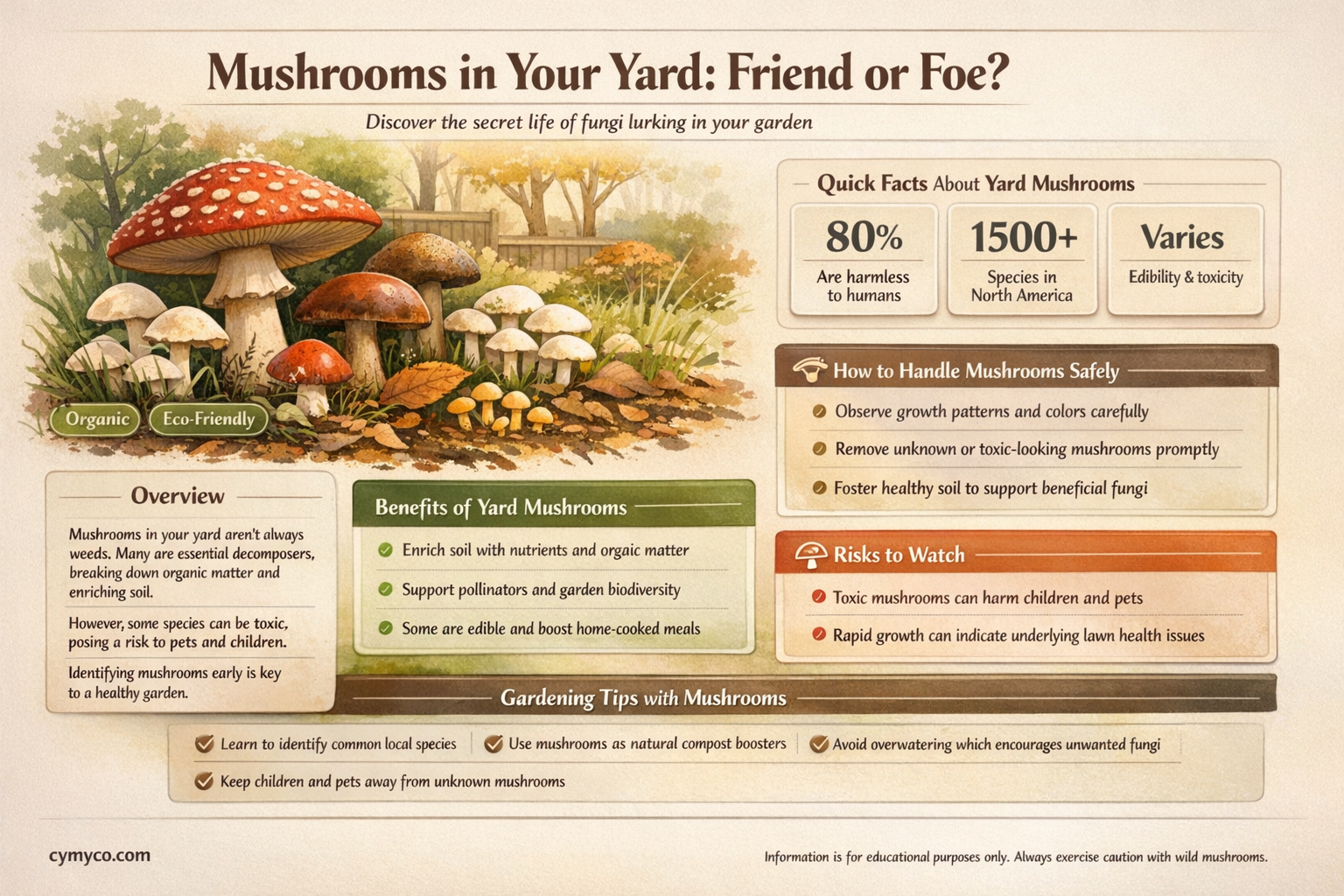 are mushrooms bad for my yard