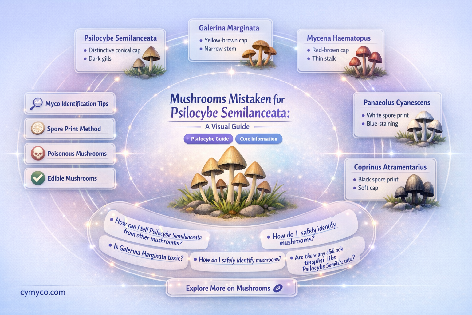 what other mushrooms look like psilocybe semilanceata