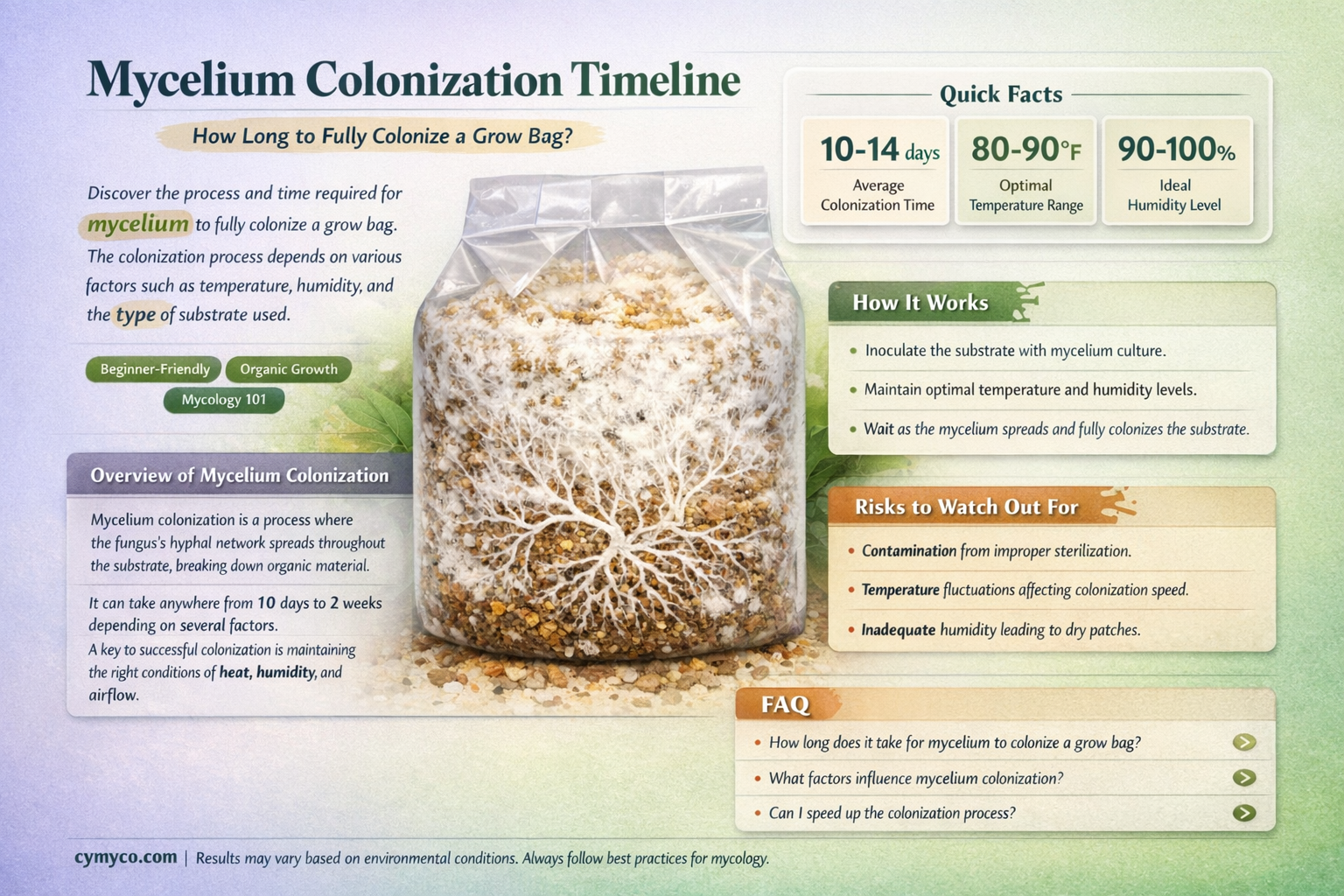 how long for mycelium to colonize bag