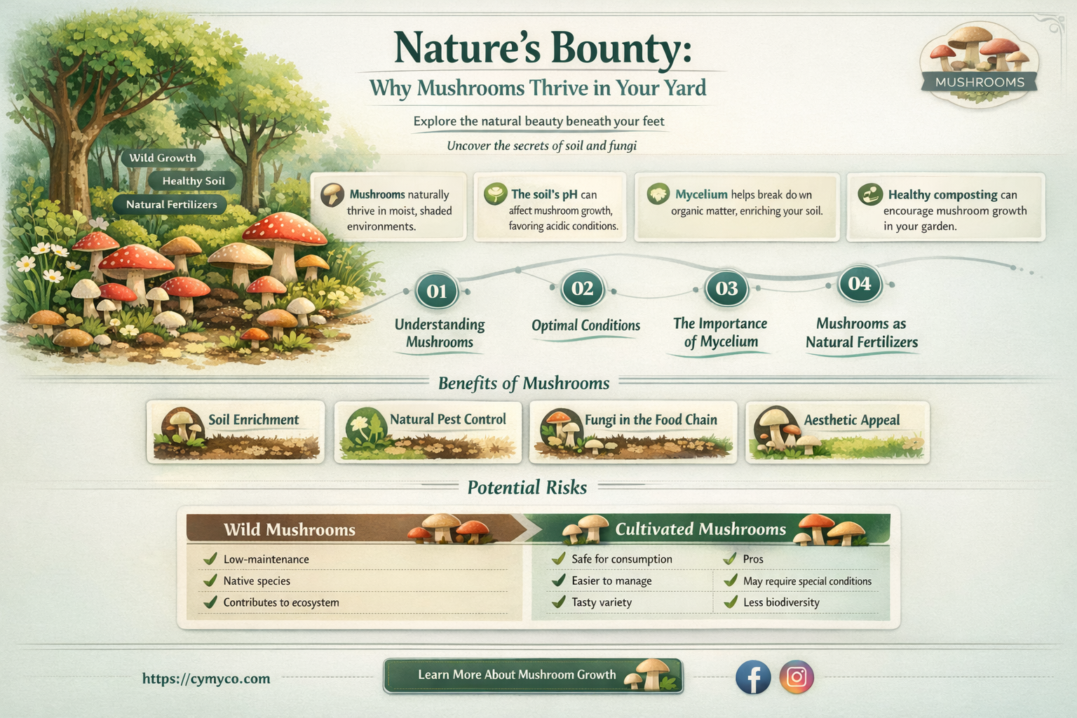 why mushrooms growing in yard