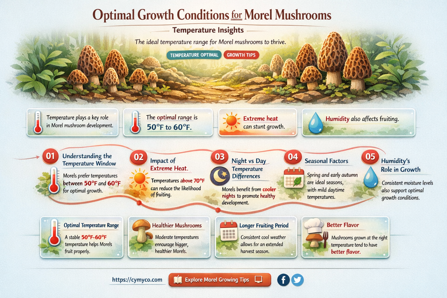 what temperature do morel mushrooms grow