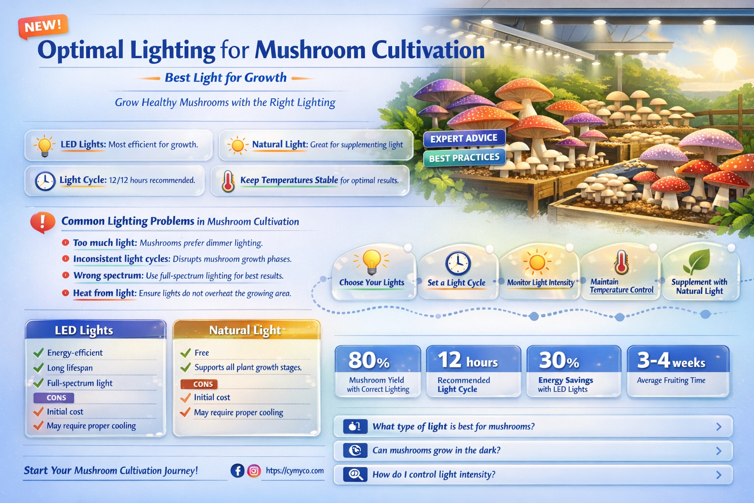 what is the best light for mushroom growing