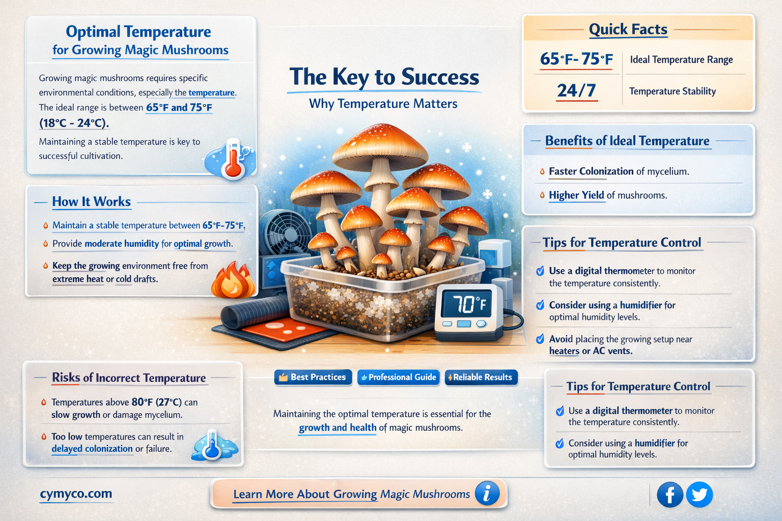 what temperature is best magic mushrooms